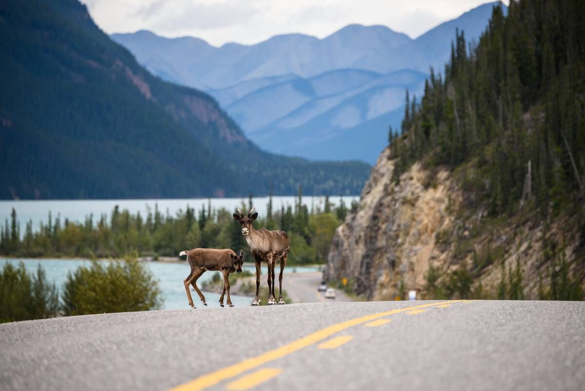 Destination British Columbia