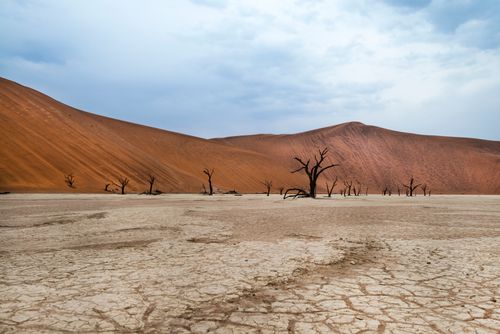 Cape Town to Victoria Falls