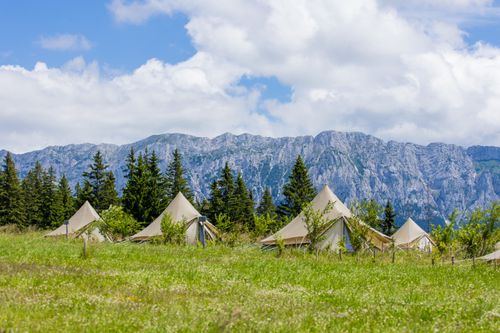 Poiana Tamas Wilderness Camp