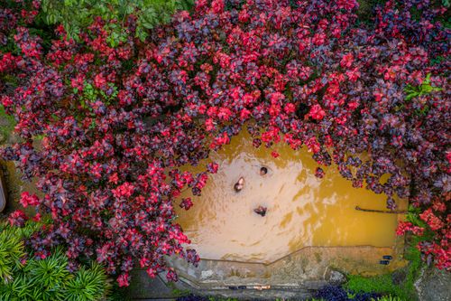 Unplug, detox and rejuvenate...