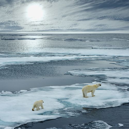 Svalbard: Explore the Top of the World