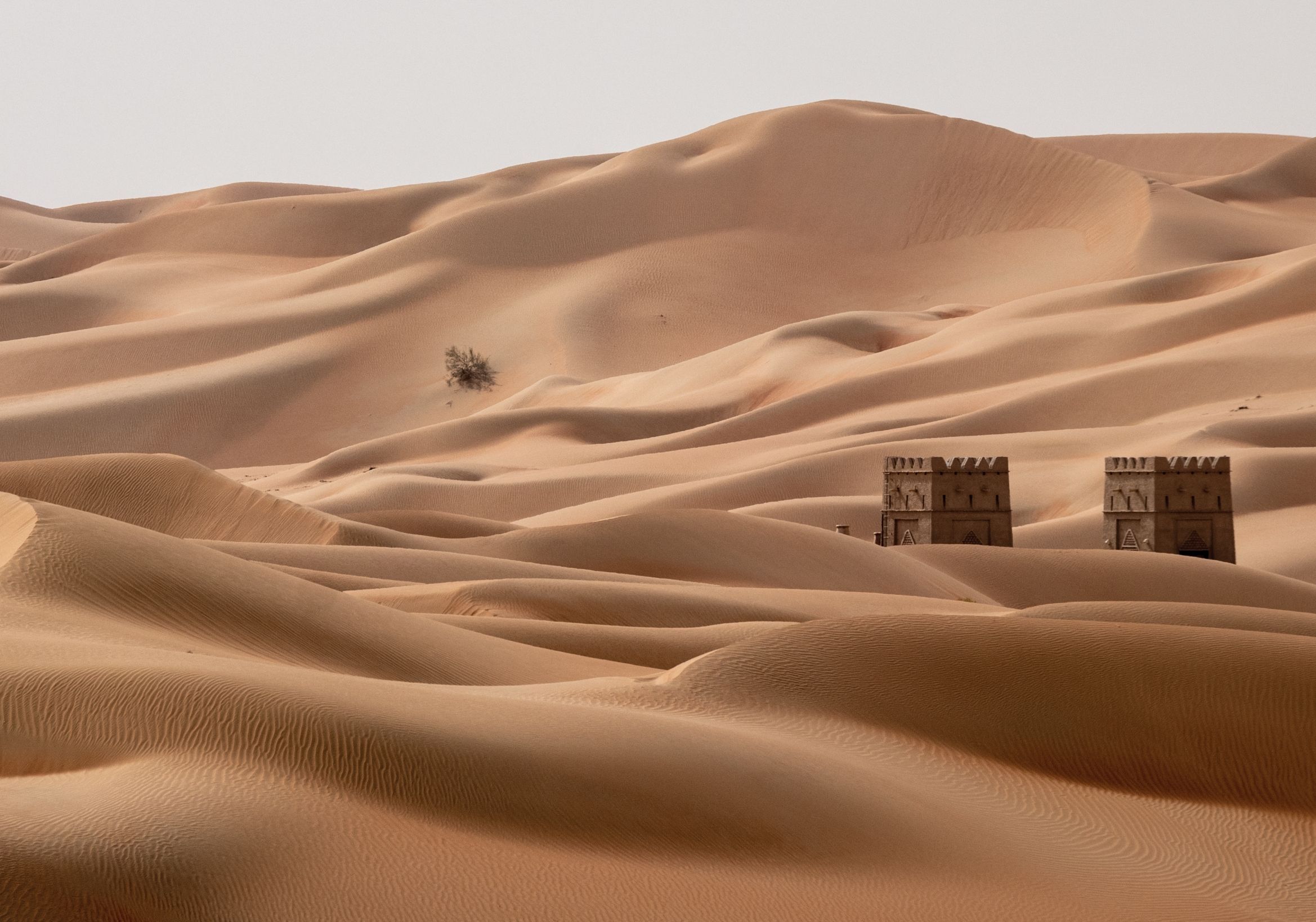 Wanderlust Visions