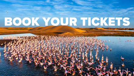 Book Your Tickets For Destinations Manchester 2026