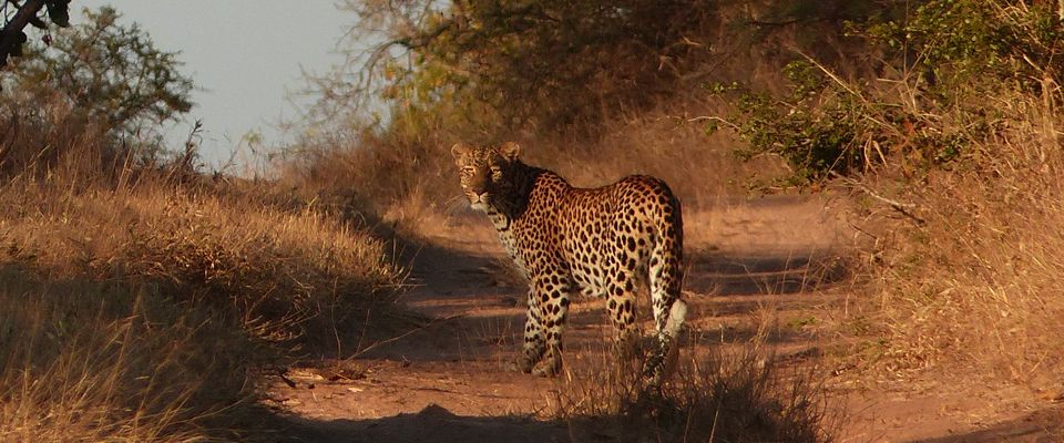 On Track Safaris Ltd