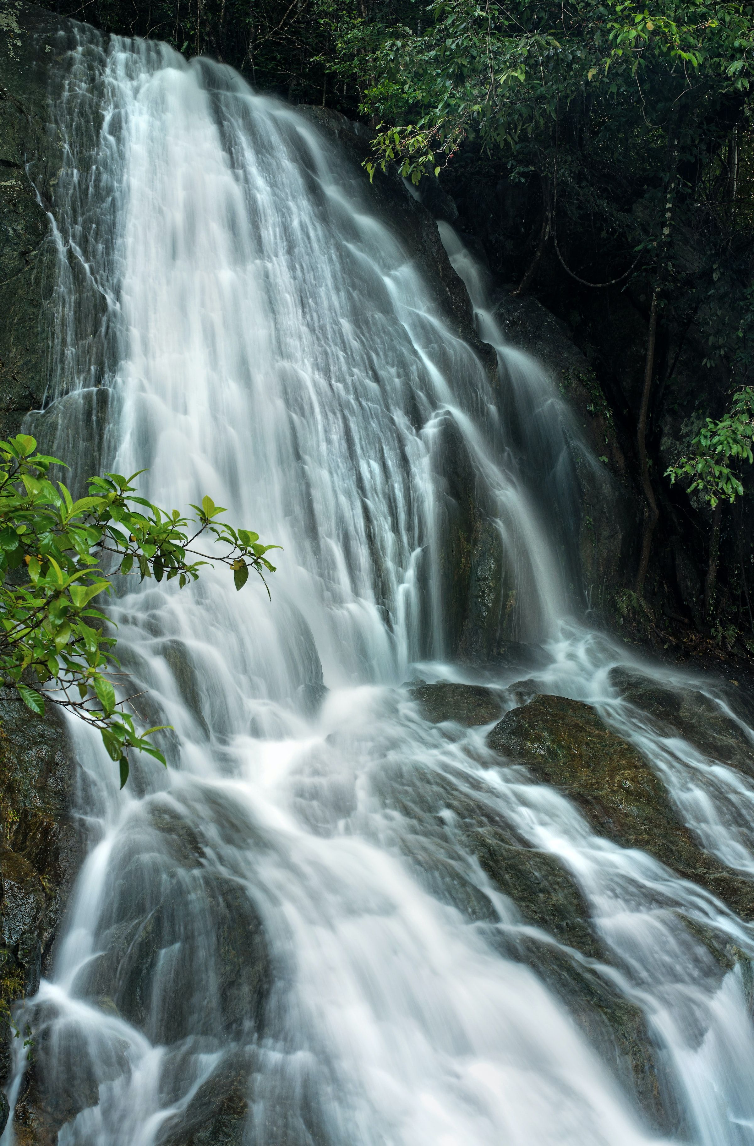 Atherton Tablelands waterfall