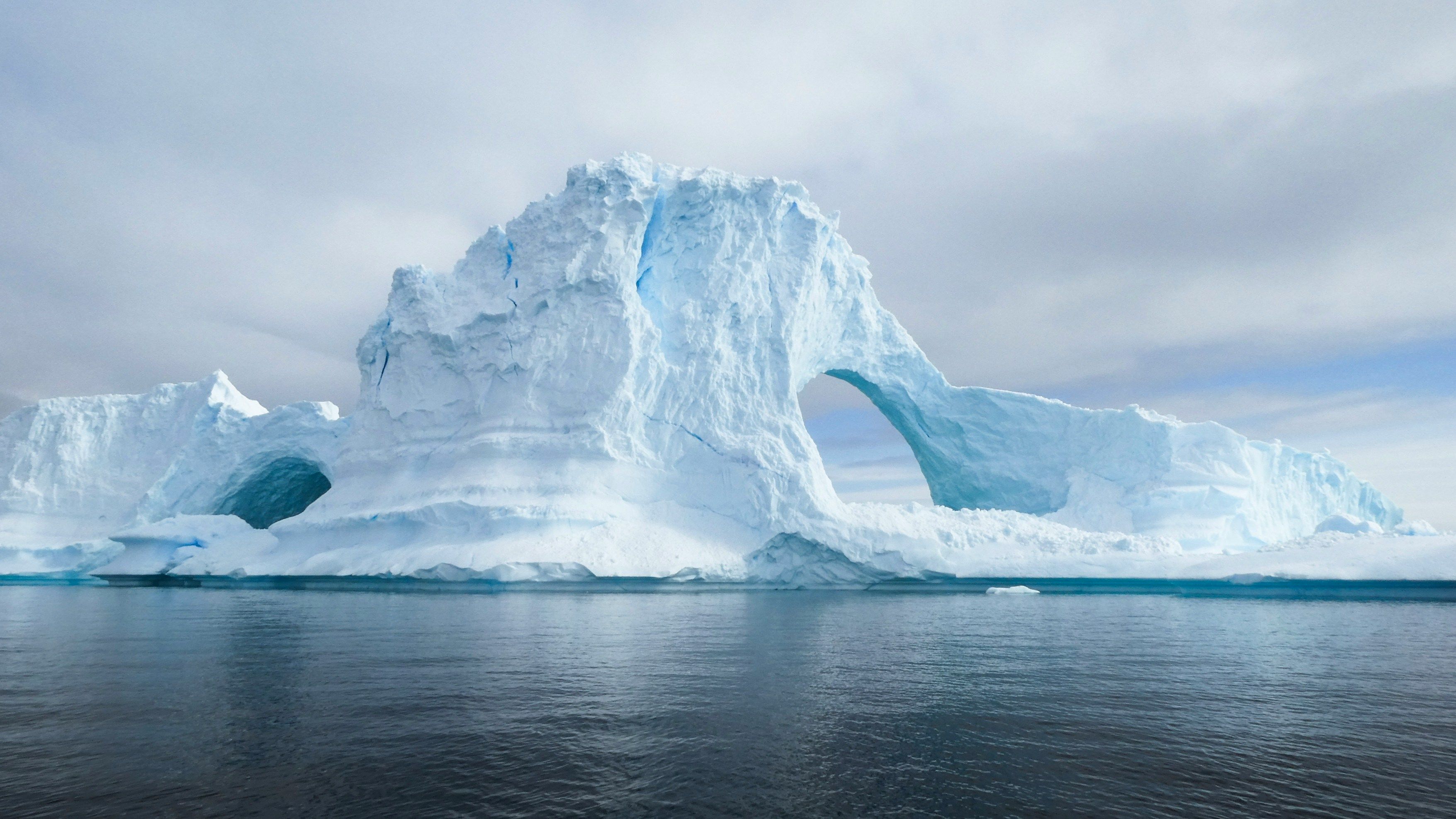 Antarctic Tours