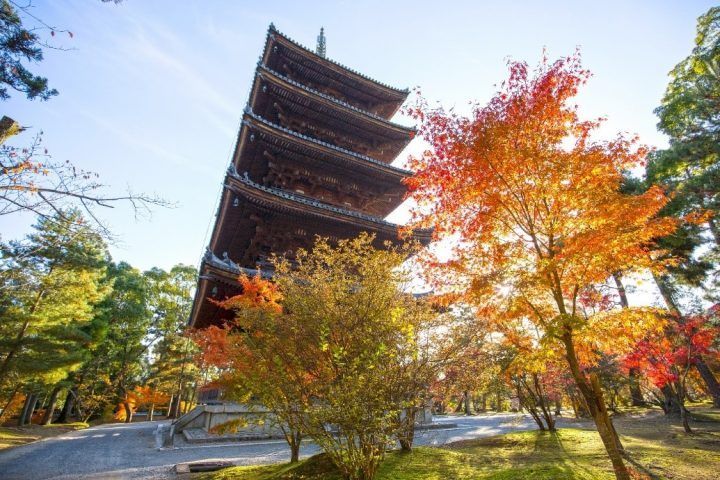 Japan Autumn