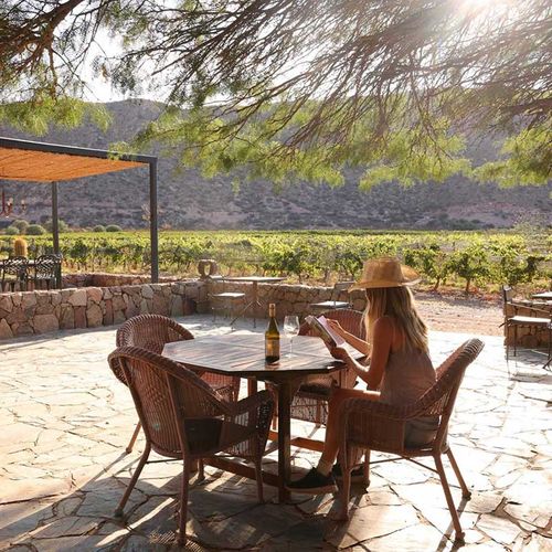 Wineries, wine and a unique experience in Northern Argentina