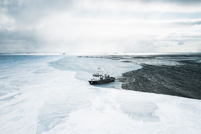 Natural Wonders of Svalbard Micro Expedition Cruise with 12 Guests