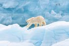 Private Expeditions to Svalbard, Greenland and Antarctica