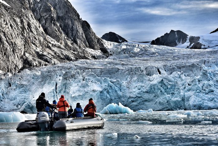 Private Expeditions to Svalbard, Greenland and Antarctica
