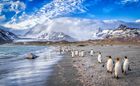 South Georgia Explorer with 48 Guests