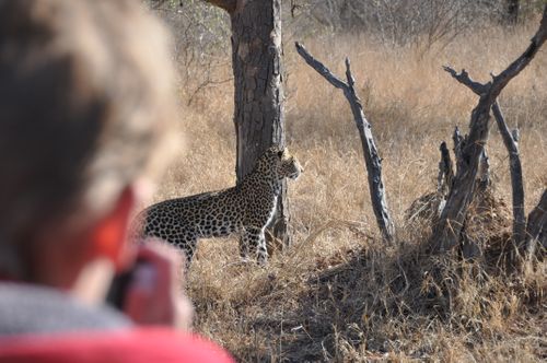 South Africa - quality safari at an affordable price
