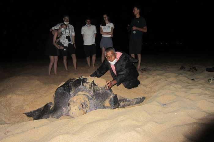 The Fair Project: Rekawa Turtle Watch