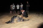 Spotlight on the ' Turtle Man'
