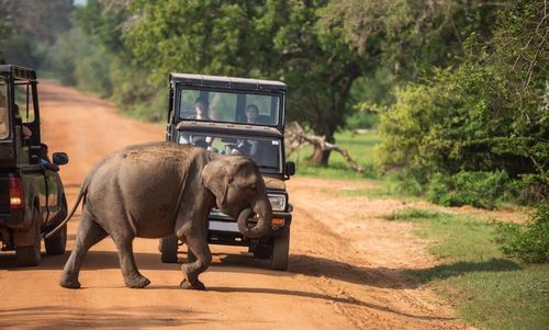 Grand Sri Lanka Tour