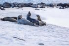 EAST & WEST GALAPAGOS BY SUPERYACHT