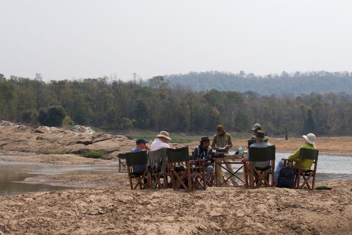 MOI WILD EXPERIENCES 2025 -INDIA- A UNIQUE WAY TO EXPLORE THE WILDLIFE