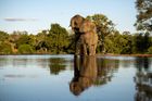 8 Night Luxury South Africa Safari Trio