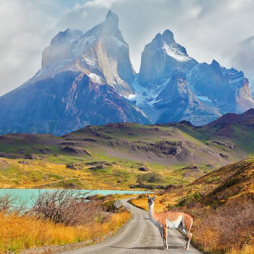 Patagonia Jeep Safari