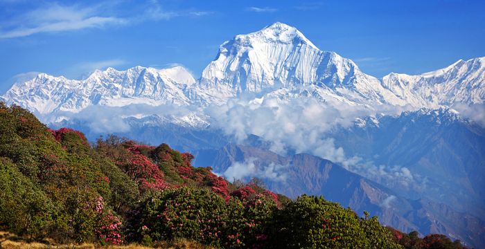 Best of Nepal