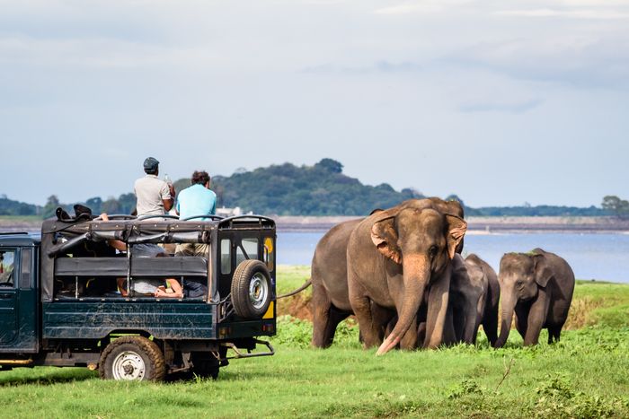 Best of Sri lanka