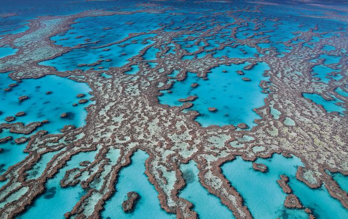 Australia & the South Pacific