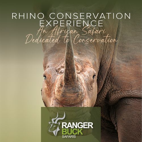 Rhino Conservation