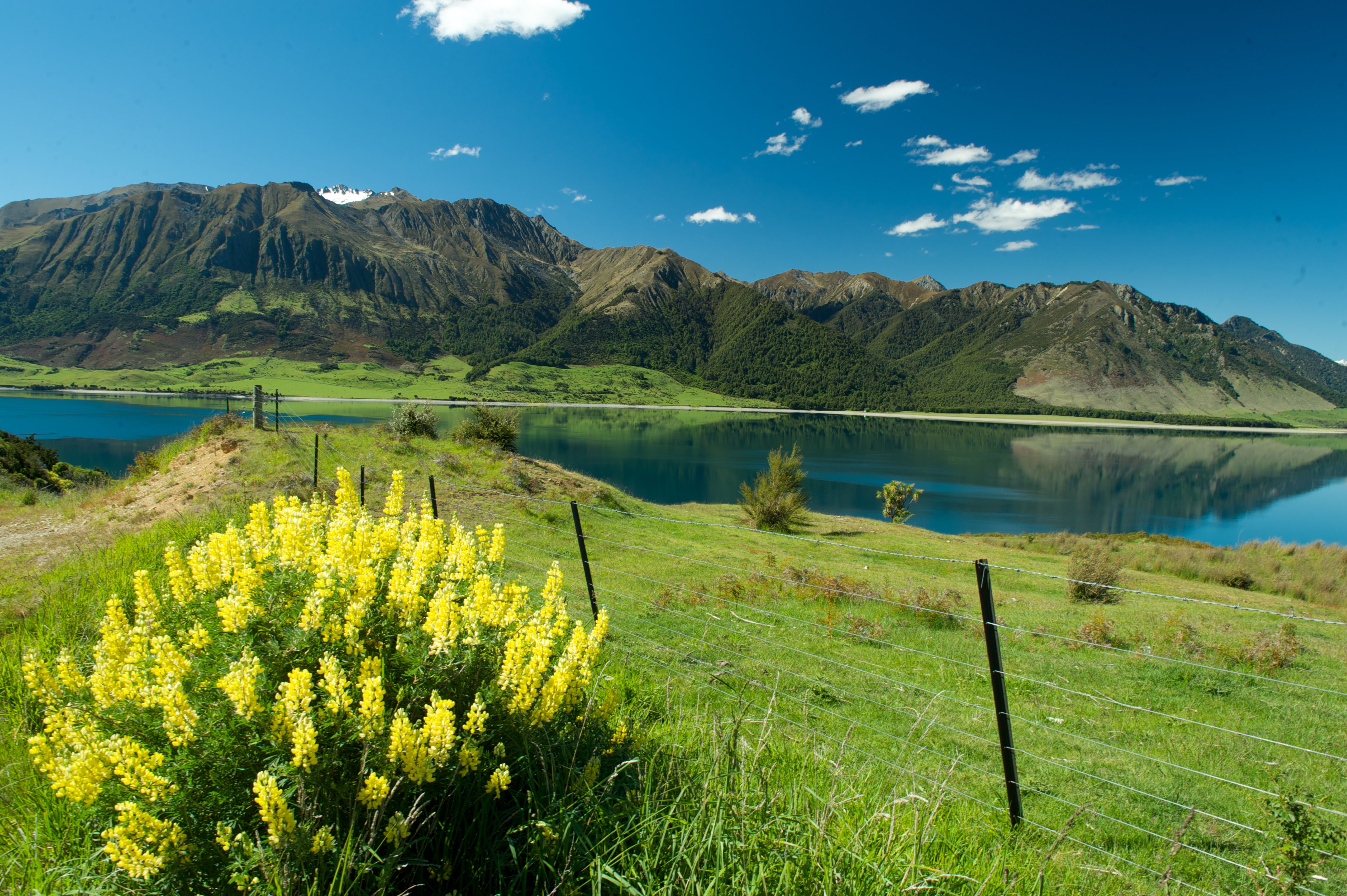 Discover New Zealand in pure luxury