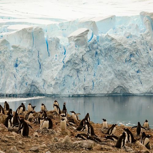 A journey to Antarctica with Silversea