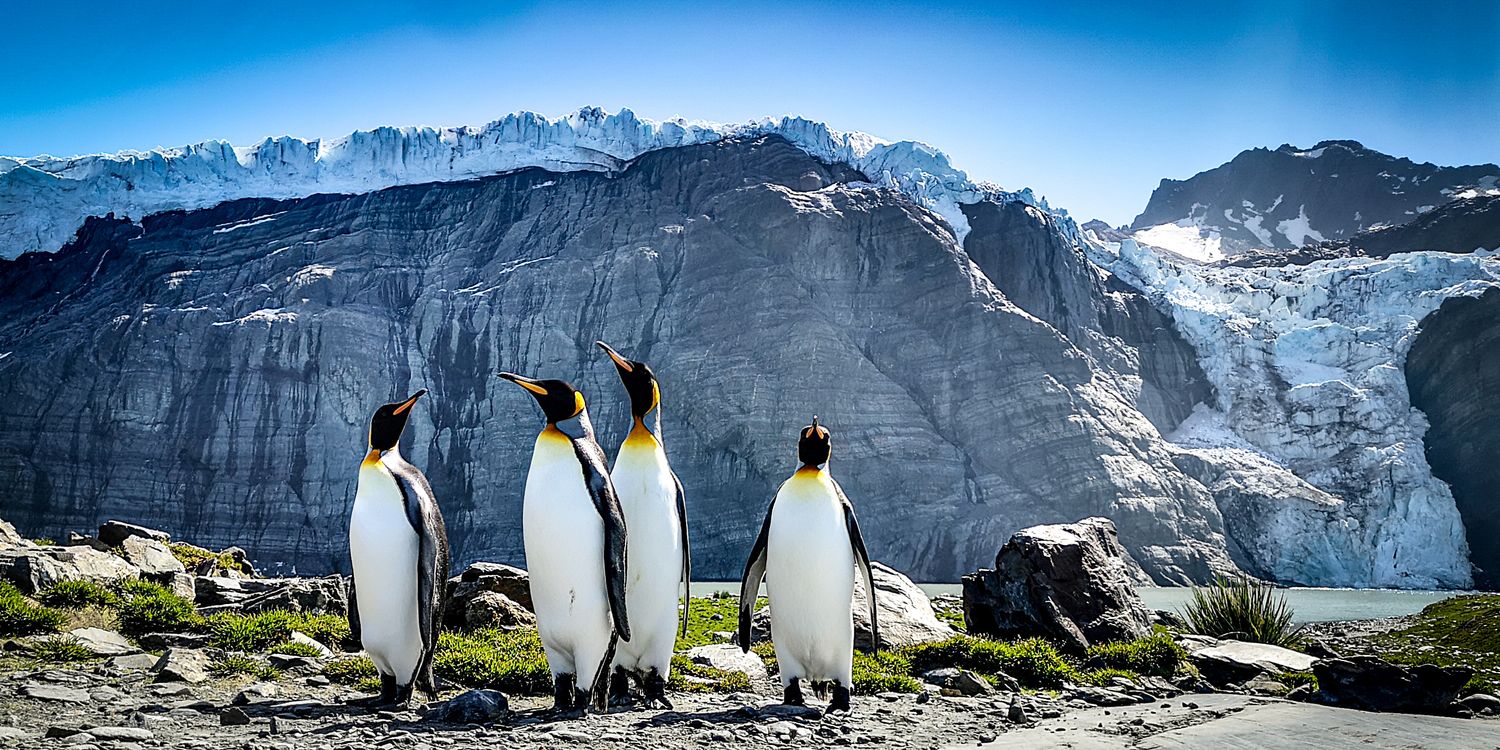 Wildfoot Travel