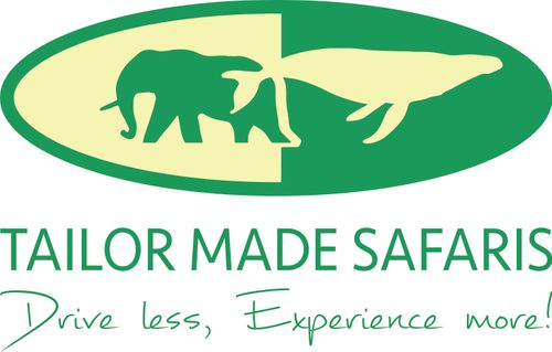 Tailor Made Safaris 