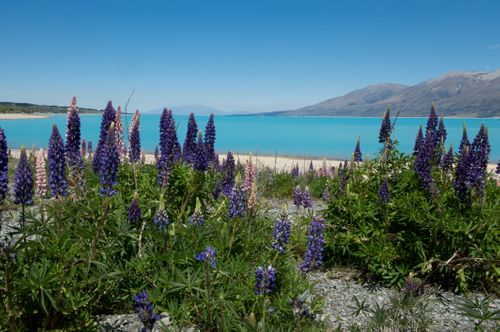 New Zealand: Connect to nature in pure luxury | 5 secluded retreats in 5 exclusive destinations'