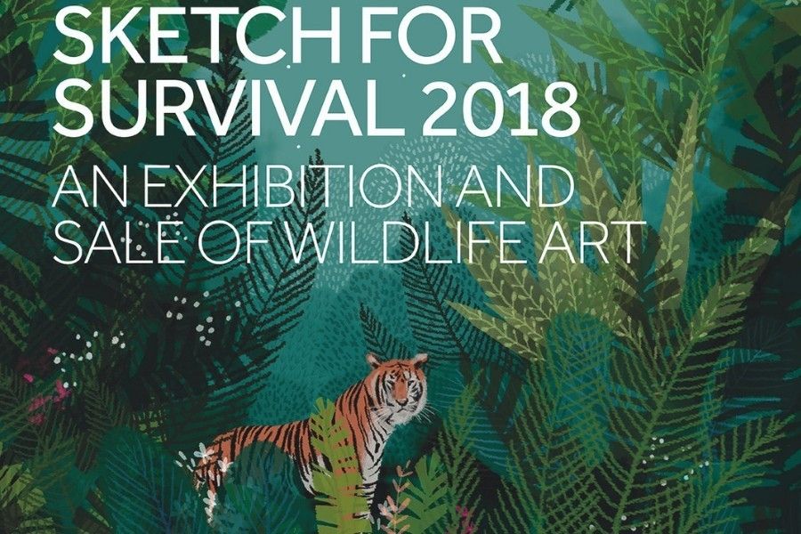 Explorers Against Extinction