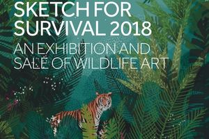 Explorers Against Extinction