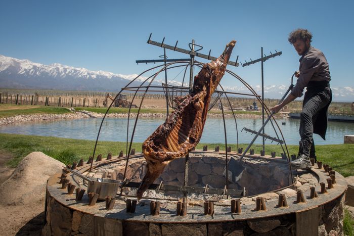 MENDOZA, LAND OF SUN & WINE