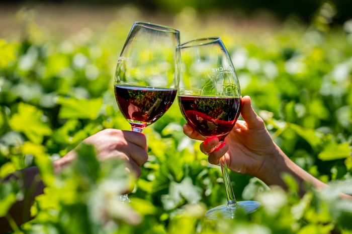 MENDOZA, LAND OF SUN & WINE