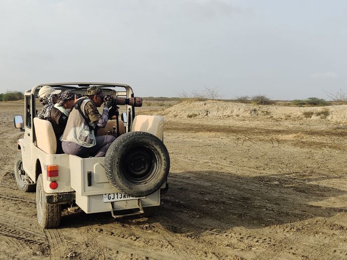 MOI- WILD GUJARAT-2026