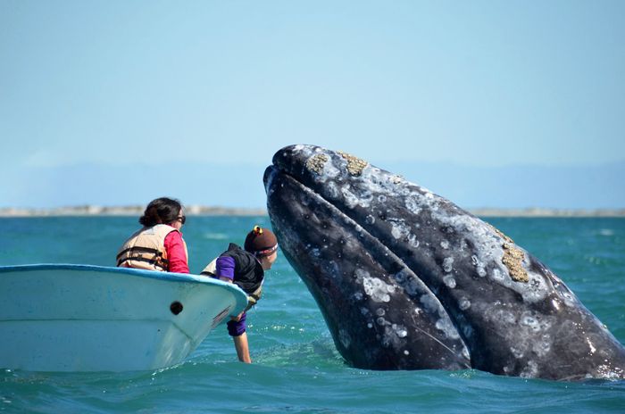 Comunidad Azul Exclusive Expedition with Monty Halls