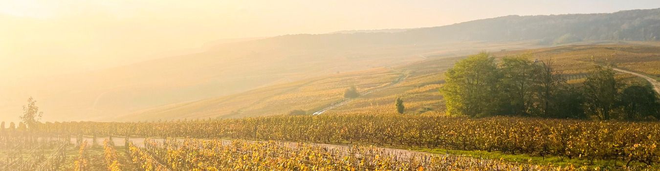 Cover image - Heritage Wine Tours 