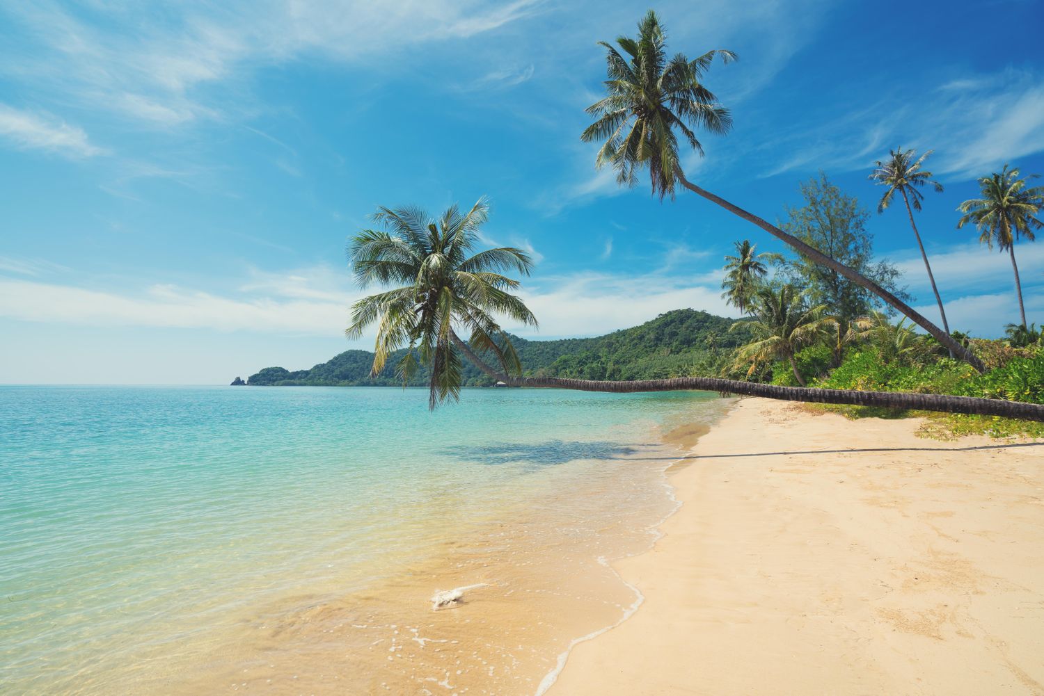 Cover image - Trailfinders