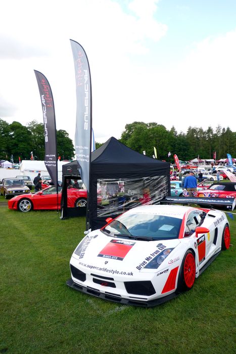 PRO 30 Leisure  Pop Up Gazebos