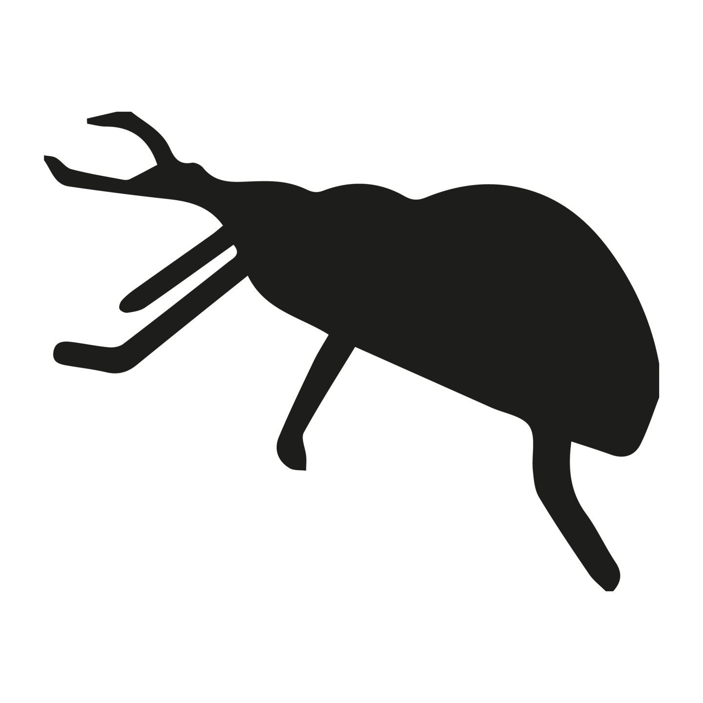 Company name - Weevils Slot Cars