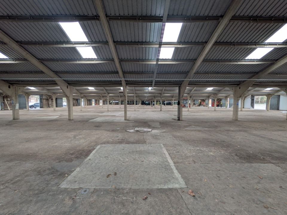 Watch Scrutineering Up Close in Hall 4