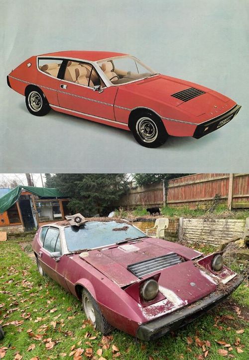 A Former Penthouse Model In Need of Rescue!