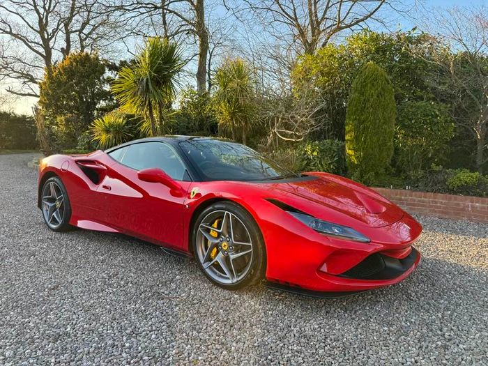 Sporting Bears cars available for Dream Rides