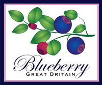 Company name - Blueberry London Limited