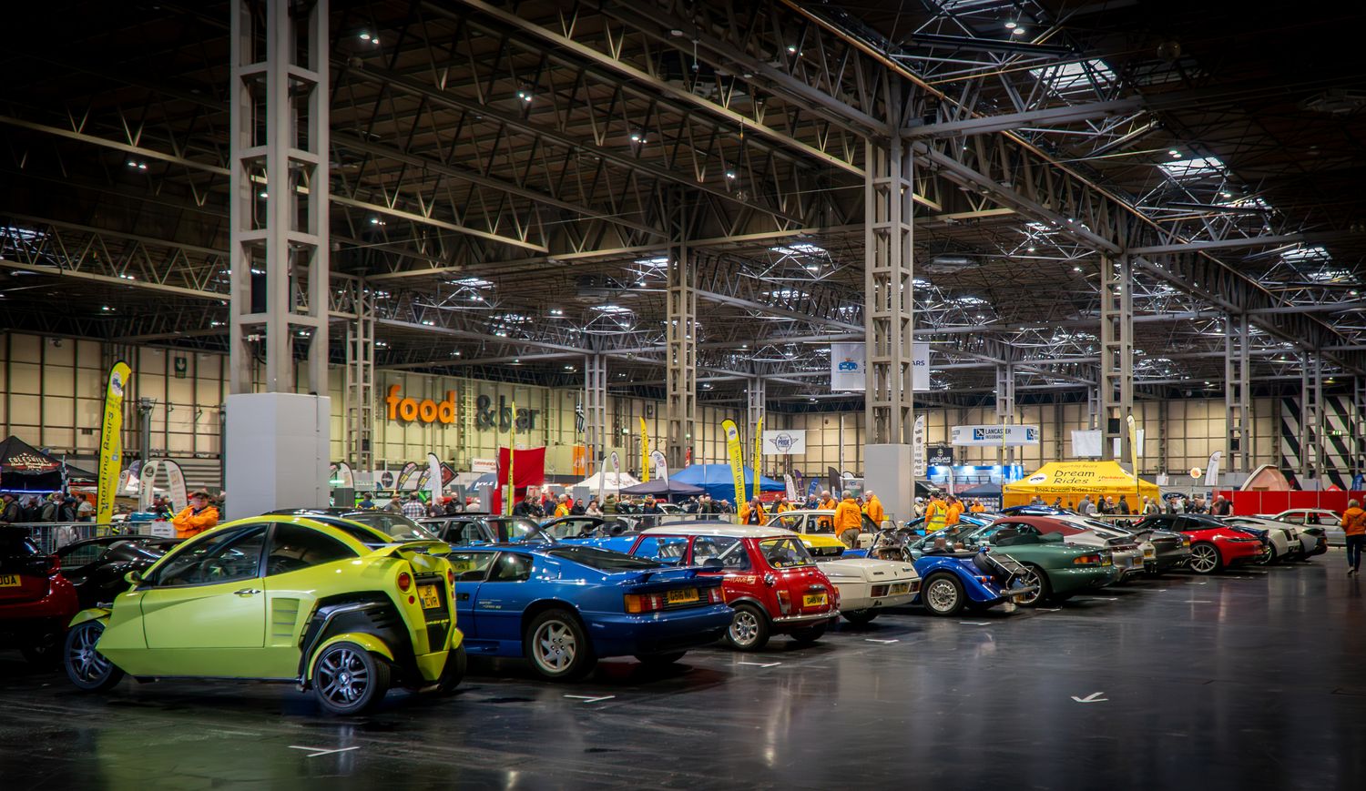 Cover image - Sporting Bears