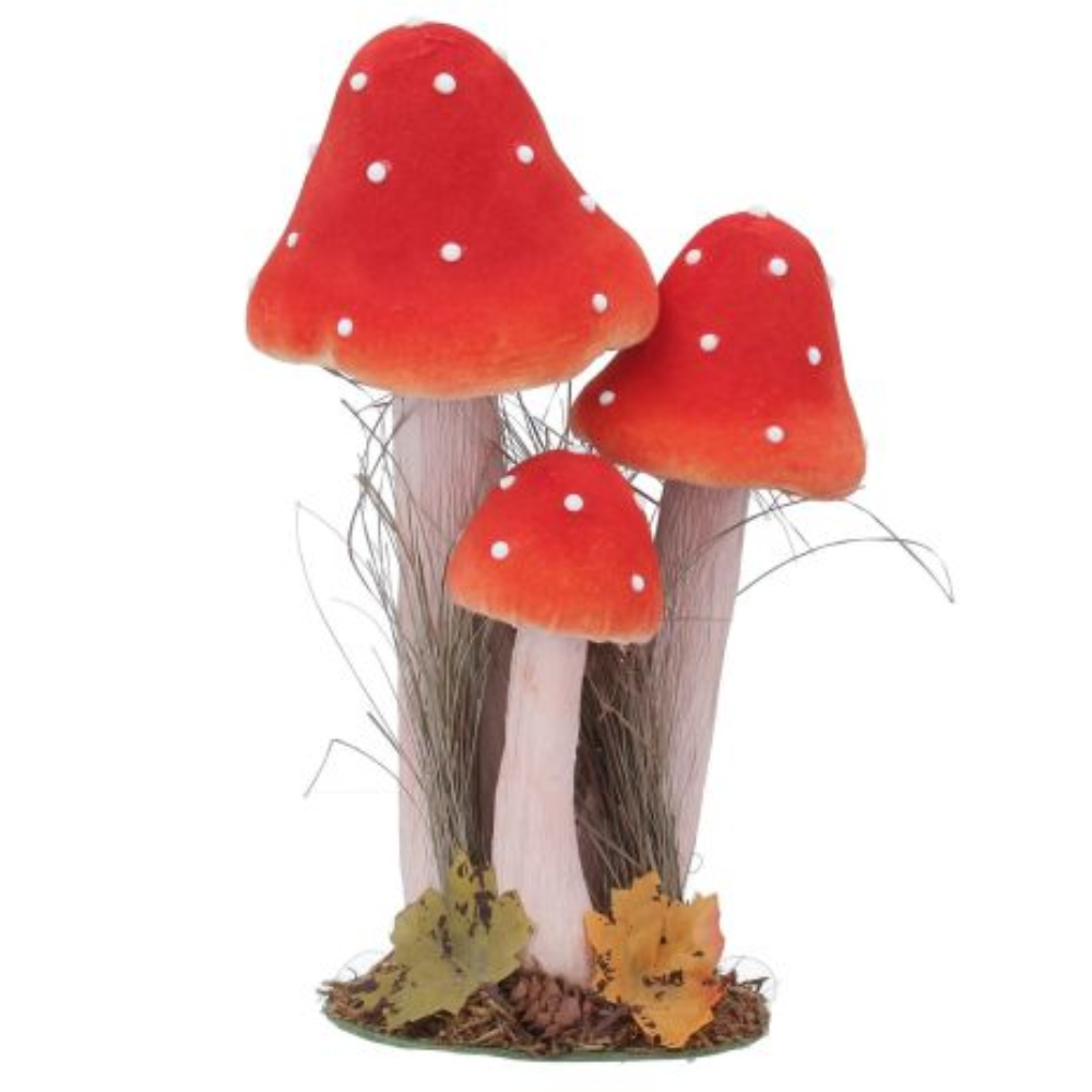 mushroom2