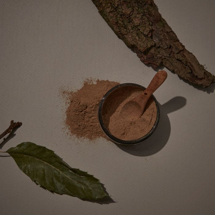 Prickly Pear Seed Oil